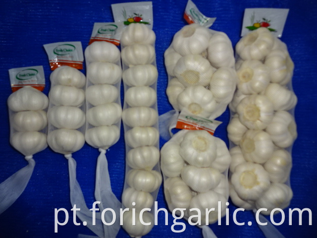 New Crop 2019 Pure Garlic